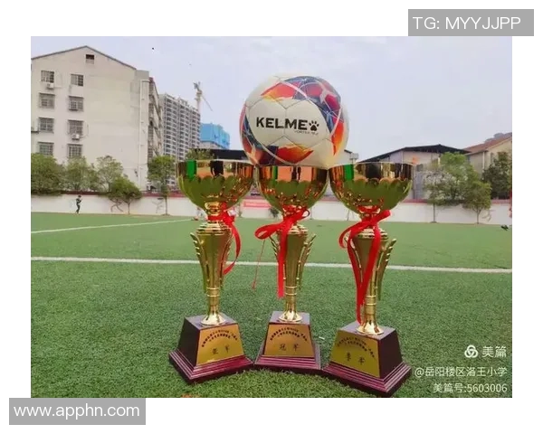 杨军独家：分享足球心得