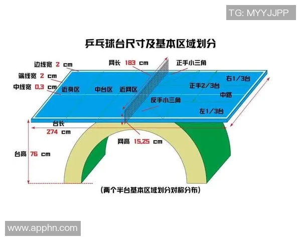 西安乒乓球队的战术控制与发展趋势深度解析