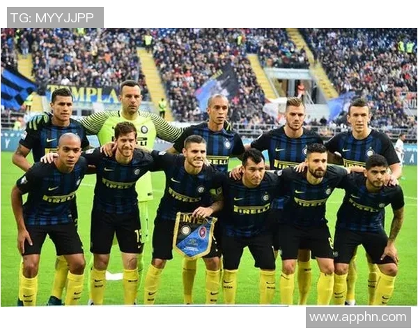 上海排球队在城市联赛中的团队协作表现分析与点评