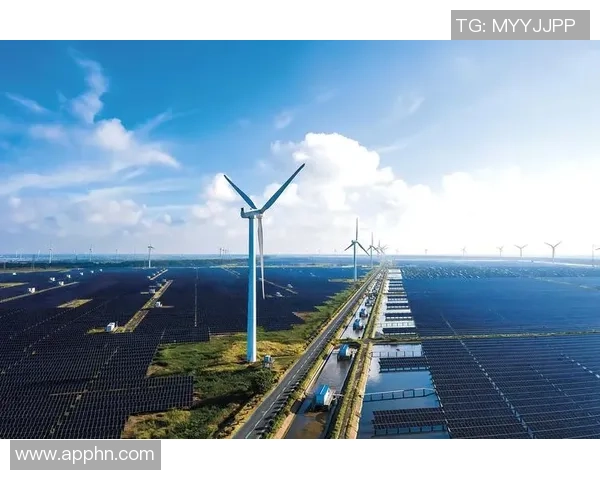 武汉羽毛球队的阵地战革新探索与实践：重塑竞技格局与团队协作新模式