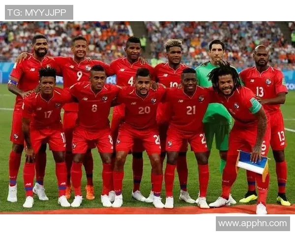 足球明星配置图表解析与各大联赛球员表现对比分析