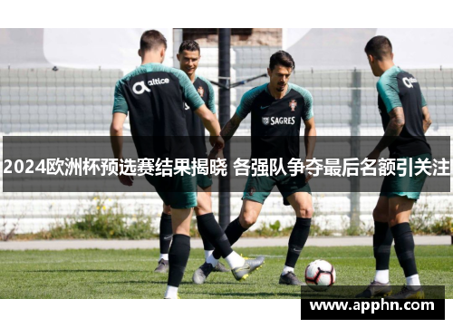 2024欧洲杯预选赛结果揭晓 各强队争夺最后名额引关注